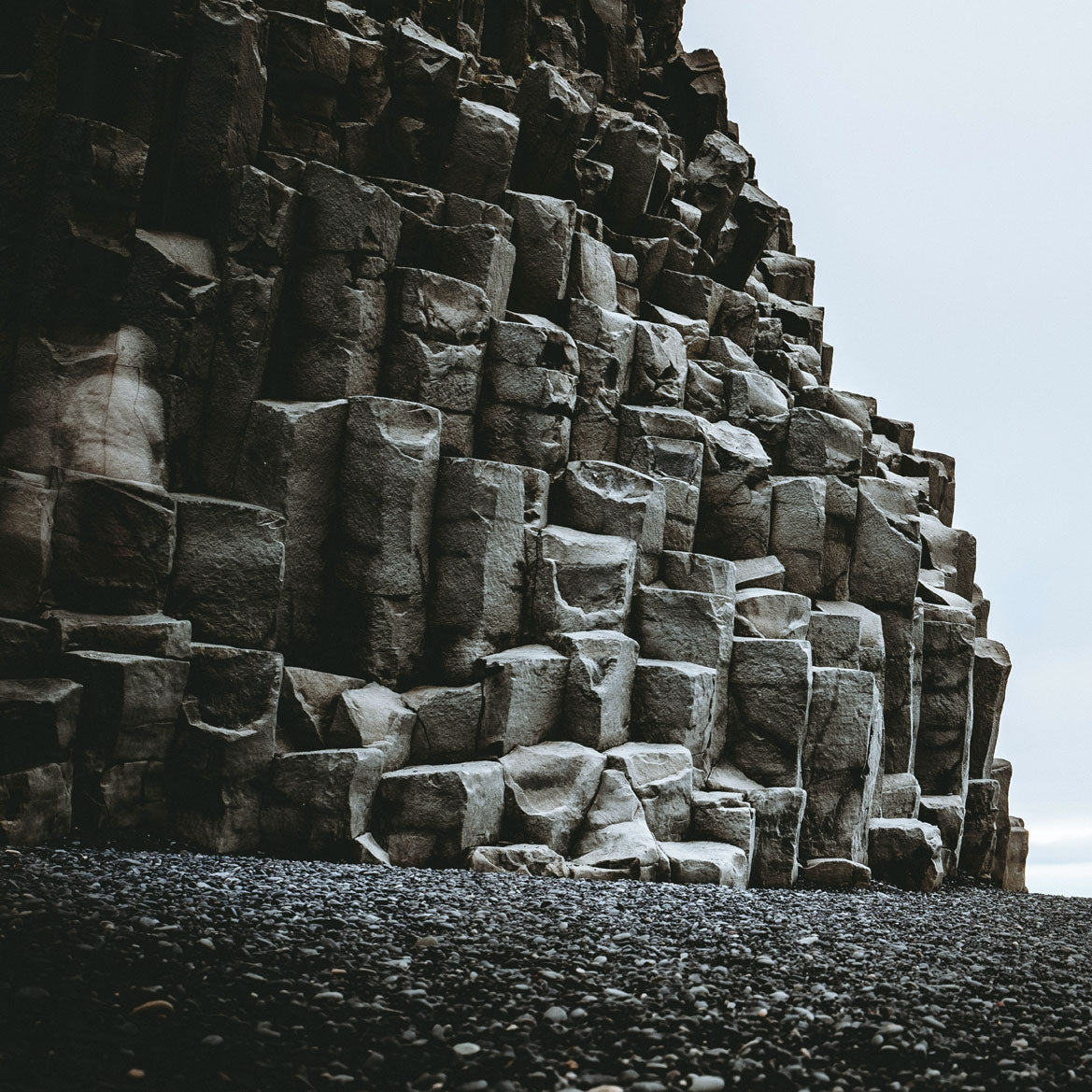 Licorice Salt - Hand Harvested in Iceland, Sustainable