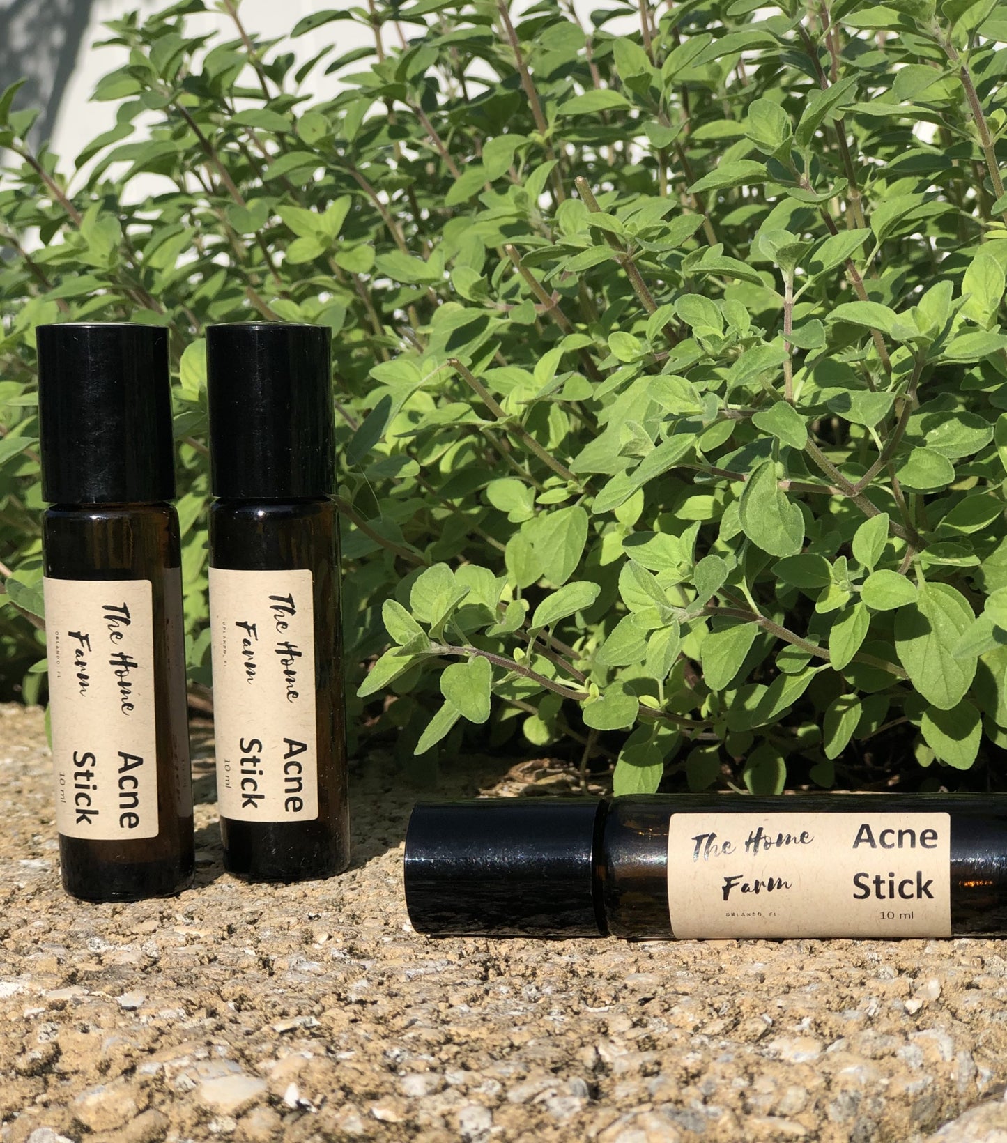 100% Organic Black Seed Oil Acne Stick