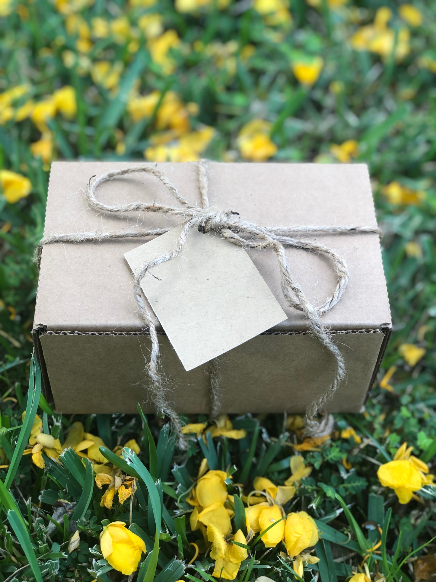 100% Natural Bentonite Clay Detox Face Mask