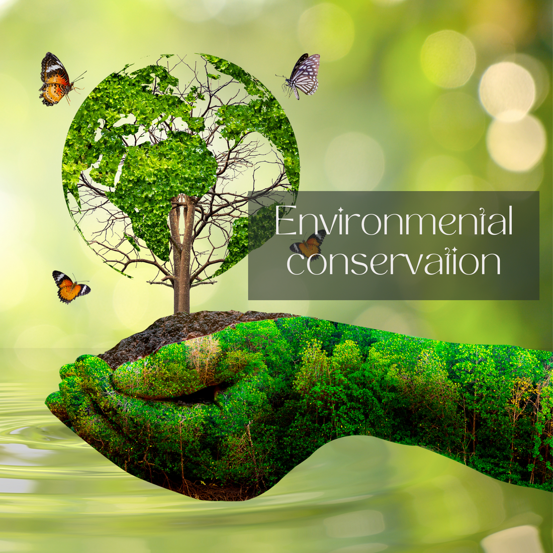 Environmental conservation and how we can positively impact our surroundings by opting for eco-friendly products