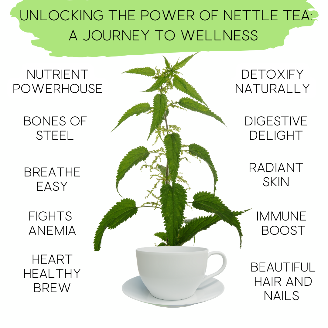 100% Pure Nettle Tea