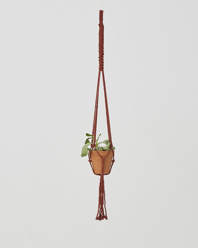 Bluefields Macrame Plant Holder | Tile Red