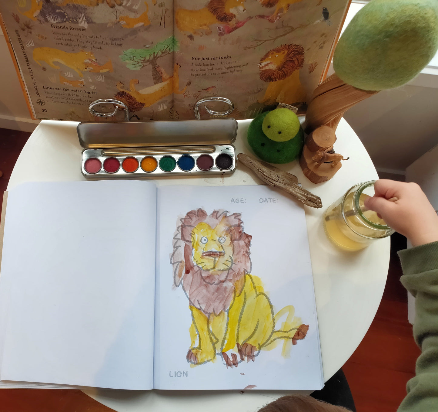 Toddlers First Colouring Book - An Endangered Animals Adventure