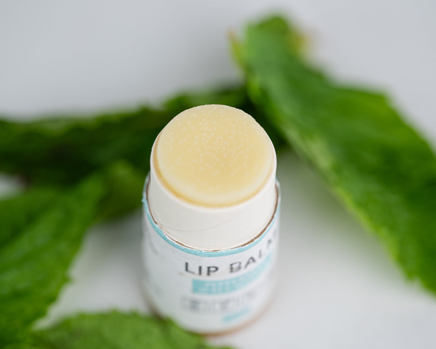 Natural Eco Friendly Lip Balm Bundle