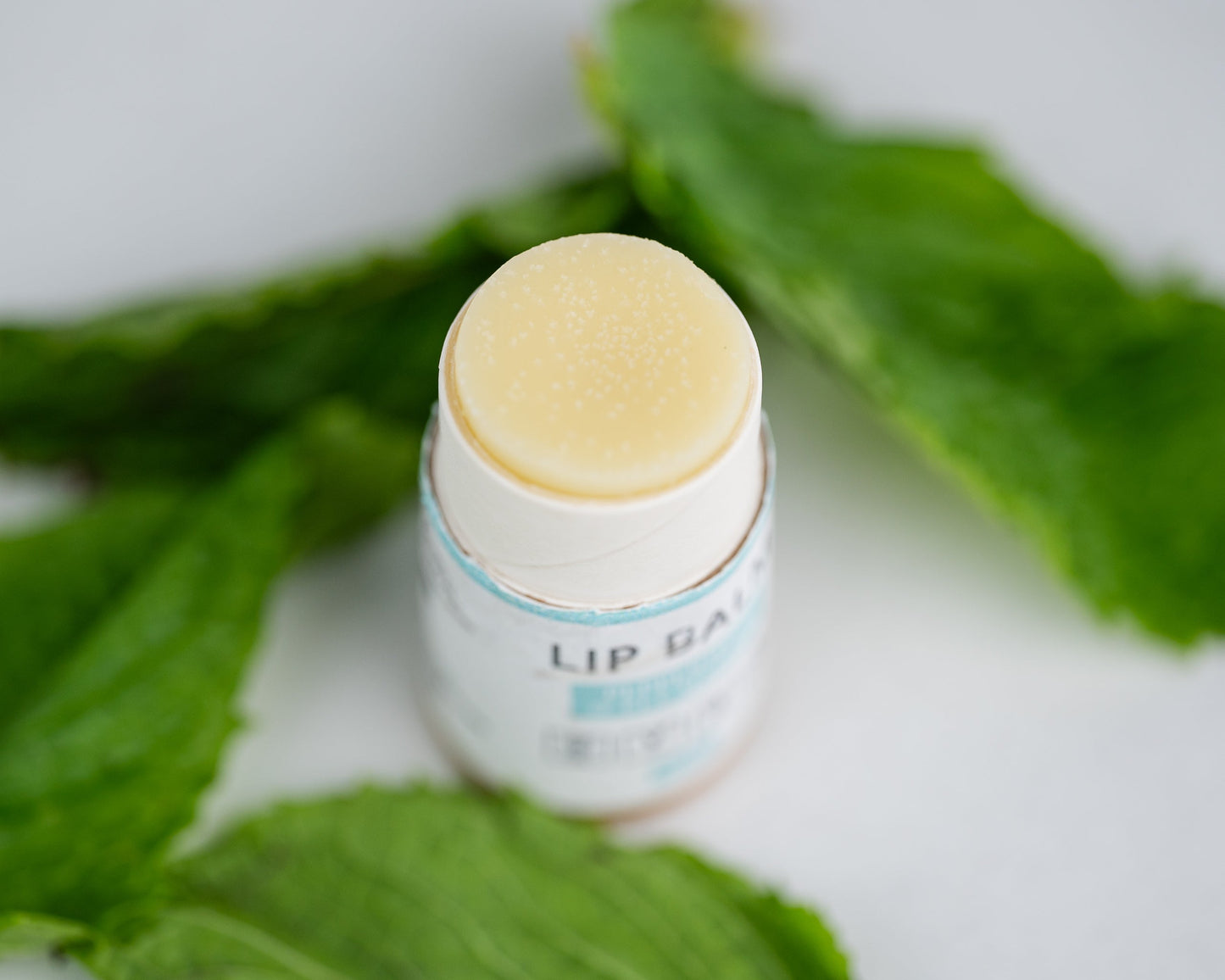 Lip Balm - Natural Sustainable Eco Friendly