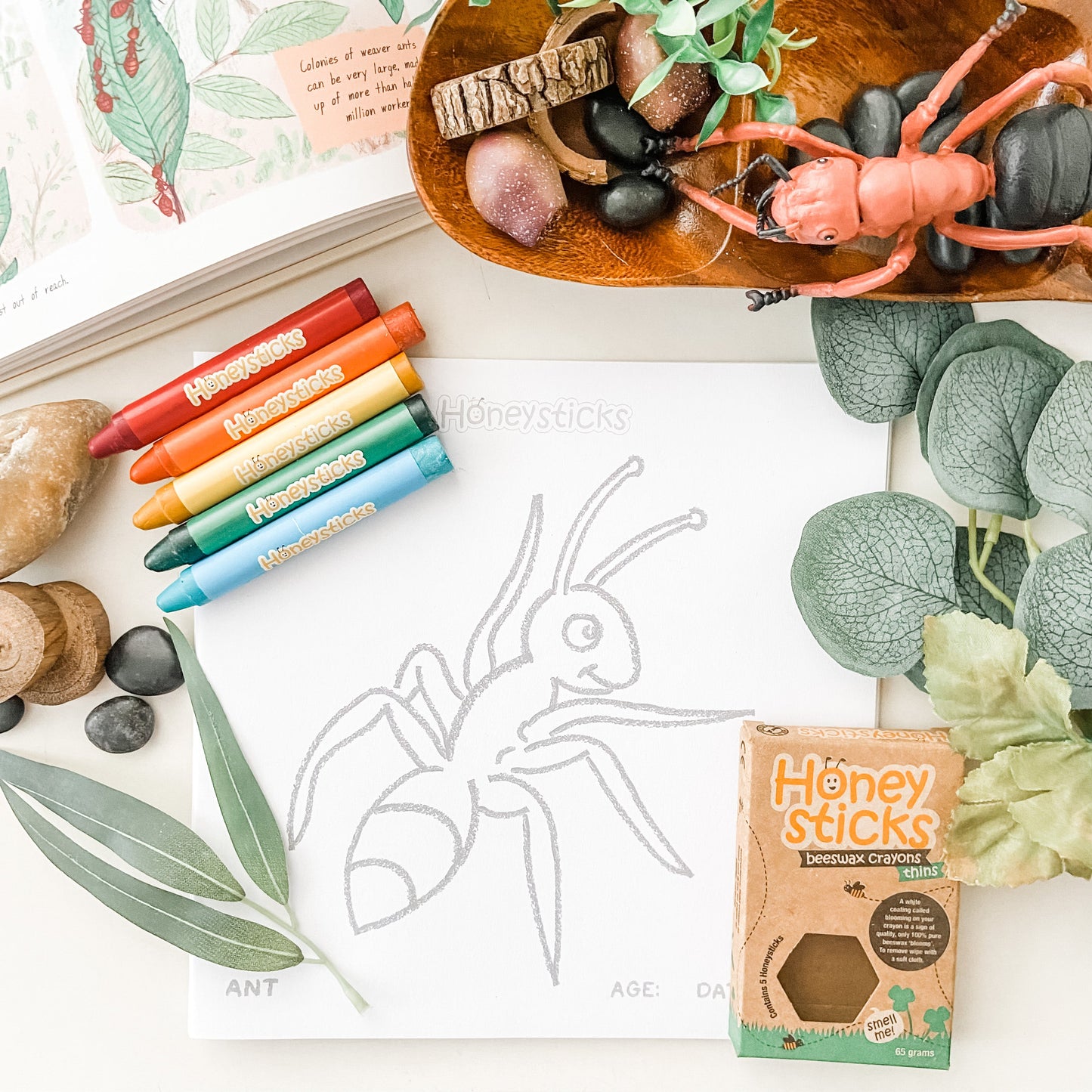 Honeysticks Thins - natural beeswax crayons