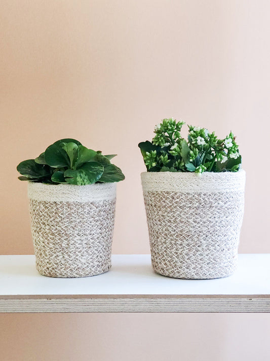 Agora Plant Basket - White - sturdy planter woven from soft jute yarn