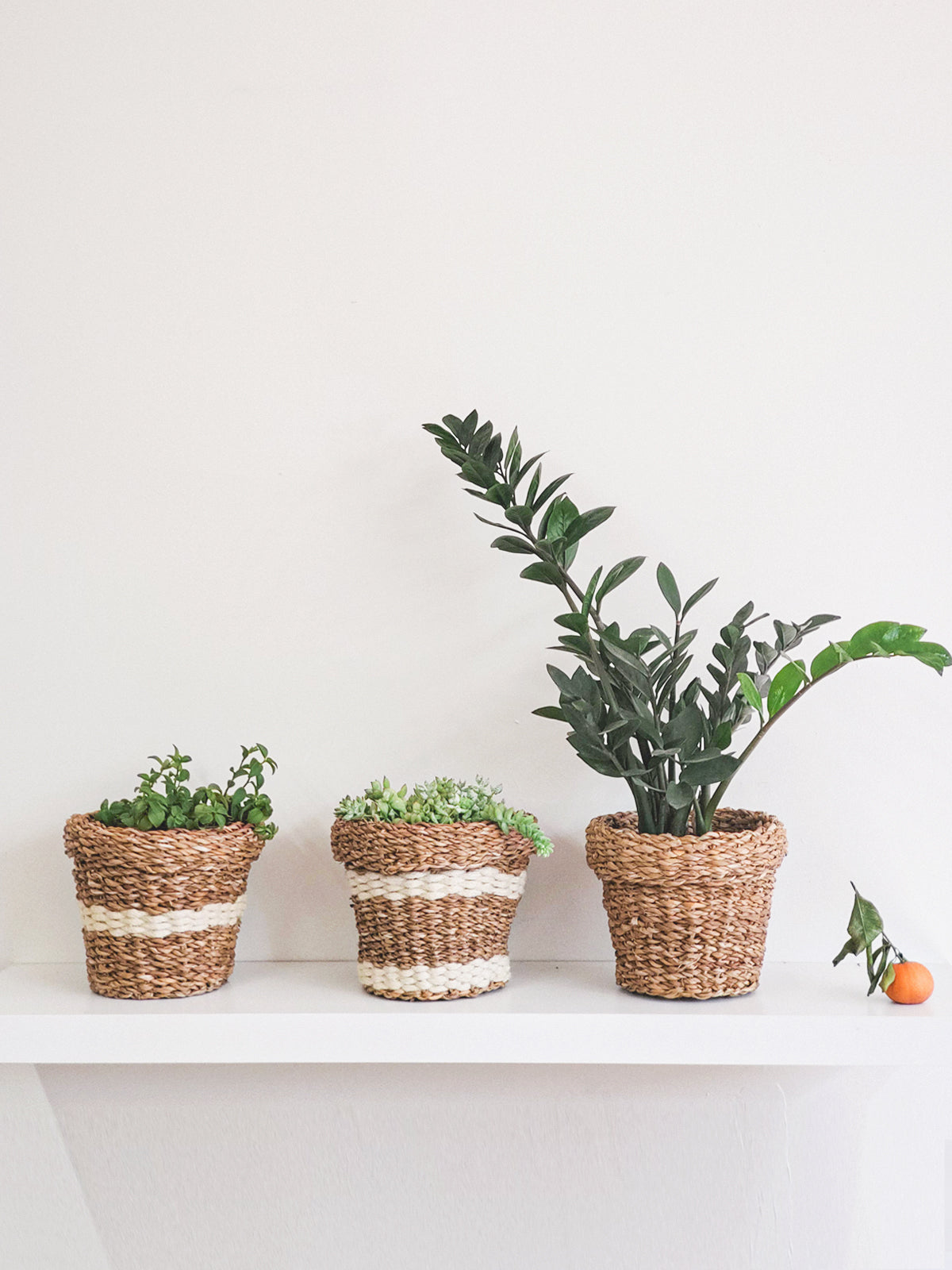 Savar Nesting Plant Basket - made from sustainable seagrass