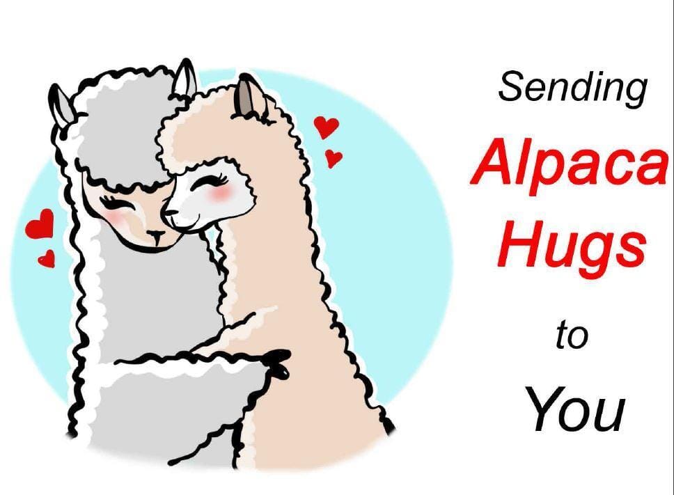 Alpaca Grams Alpaca Greeting Cards - Alpaca Stationery