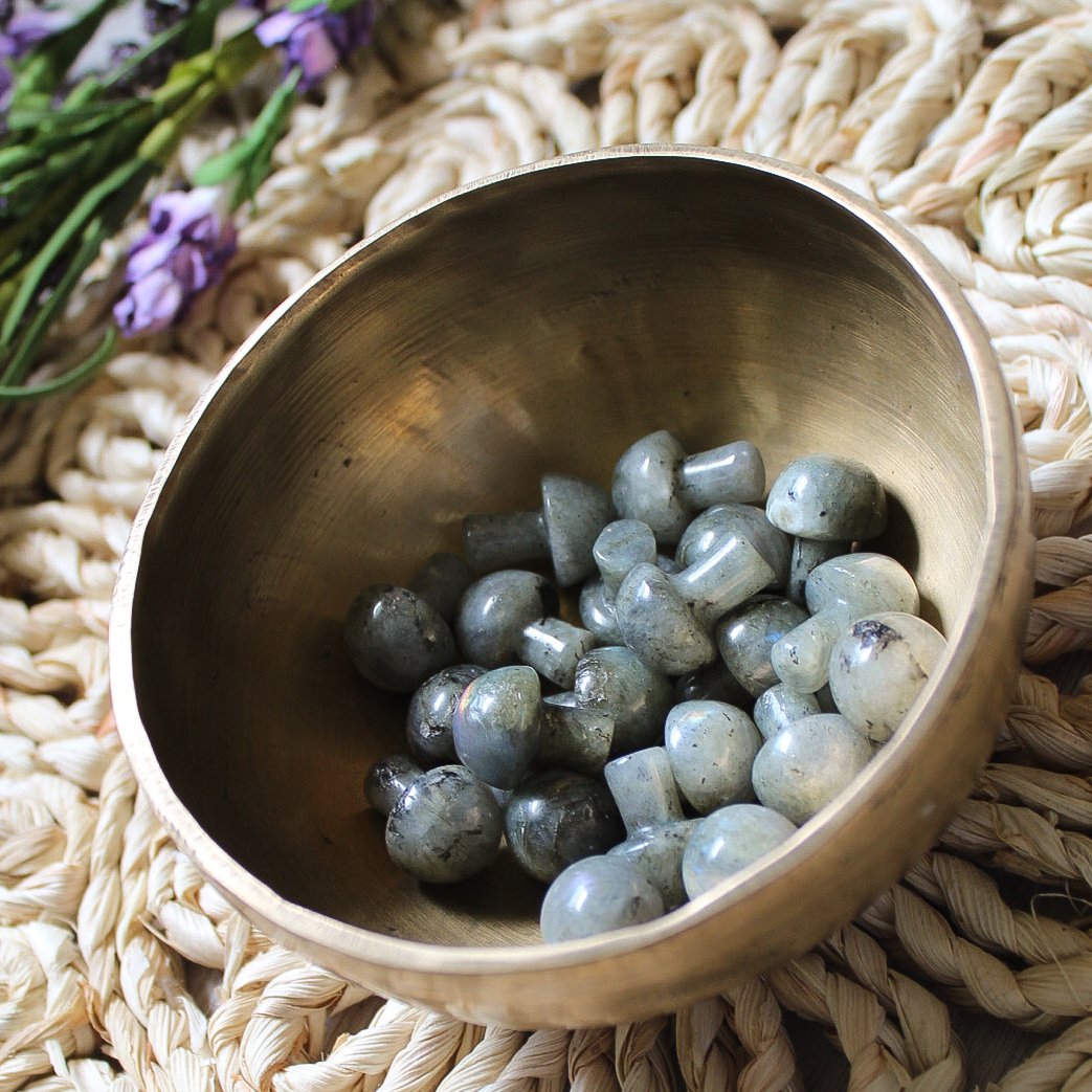 Mini Crystal Mushrooms, Labradorite