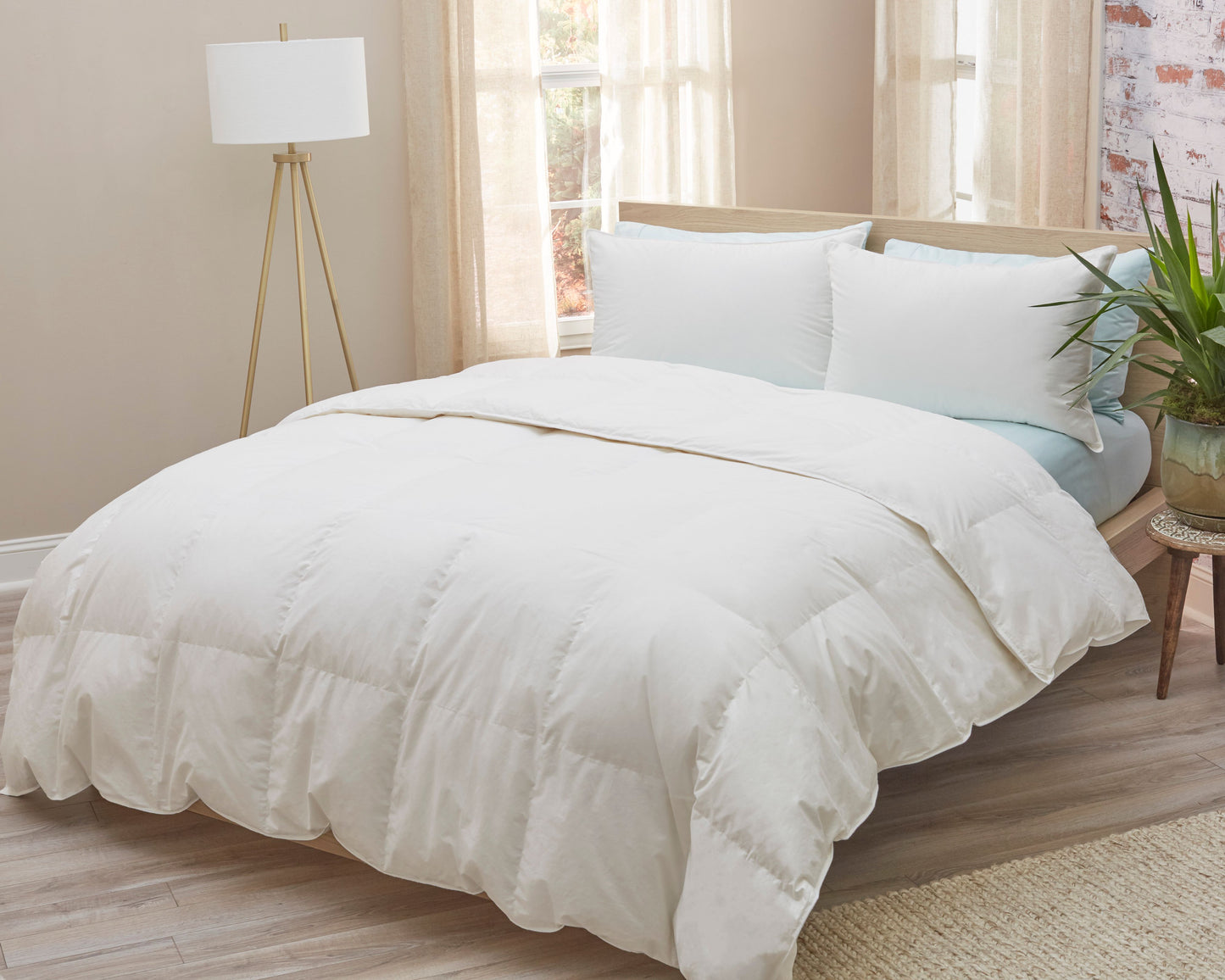 White Down Comforter