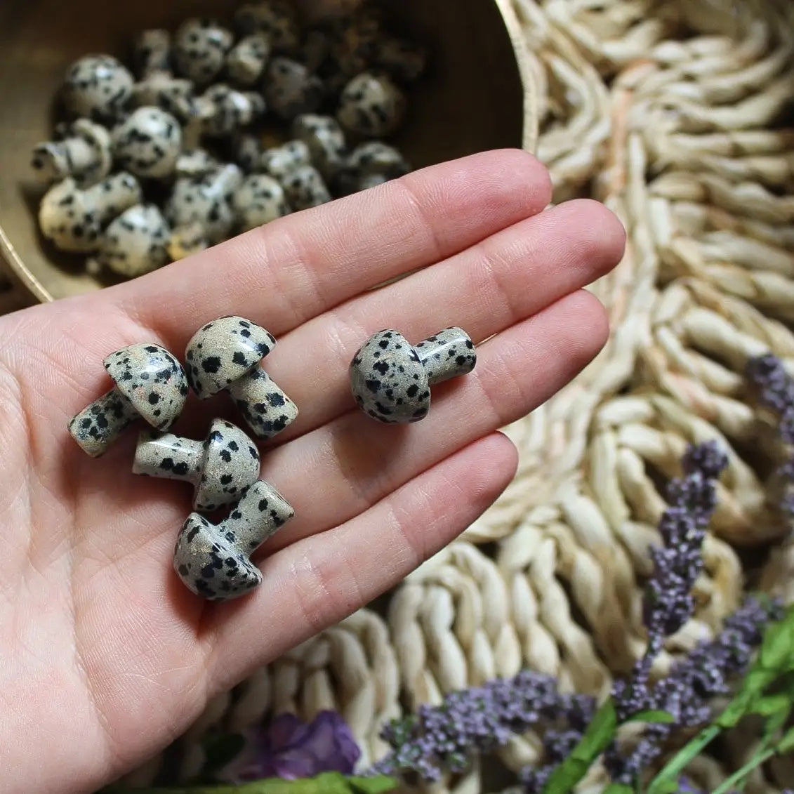 Mini Protection, Grounding, Stability Dalmatian Jasper Mushrooms