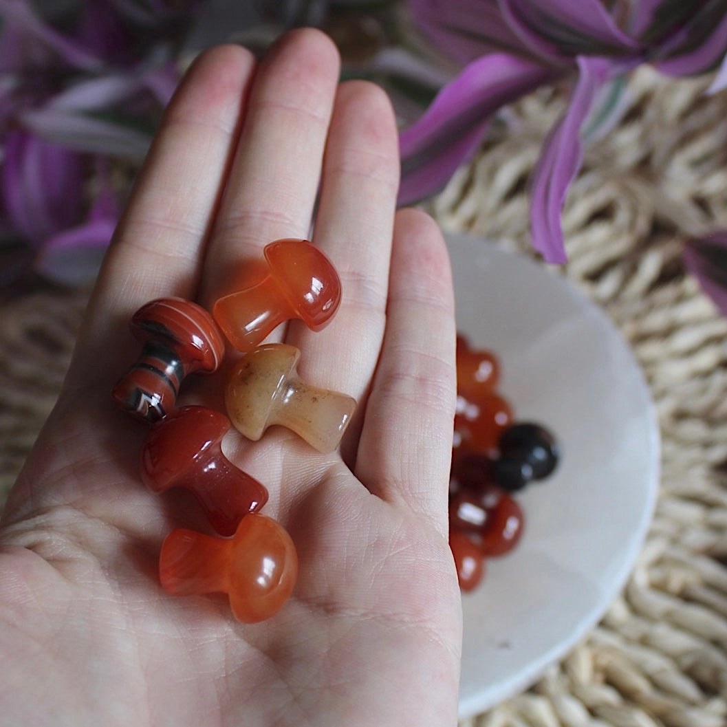 Mini Crystal Mushrooms, Carnelian