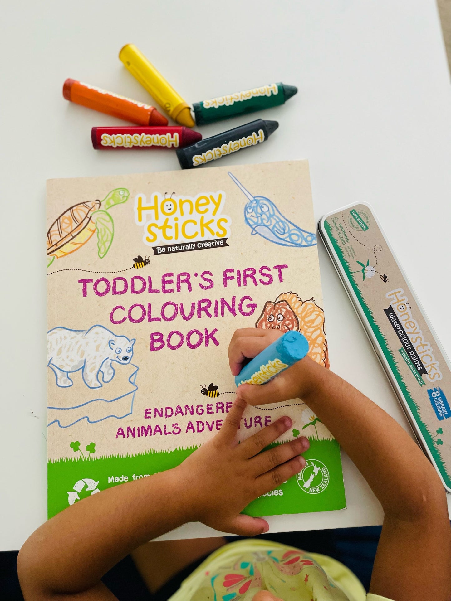 Toddlers First Colouring Book - An Endangered Animals Adventure