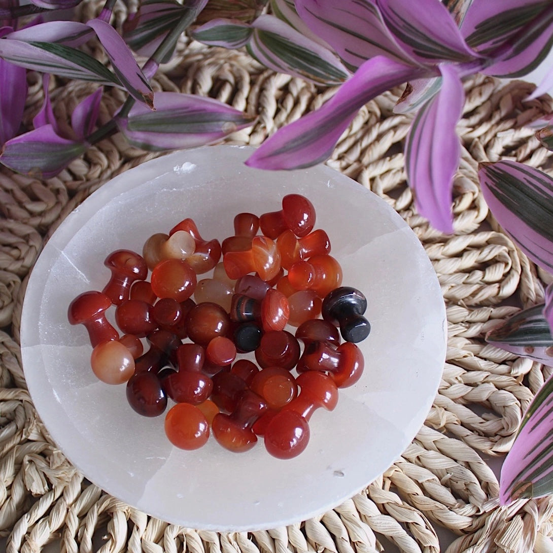 Mini Crystal Mushrooms, Carnelian